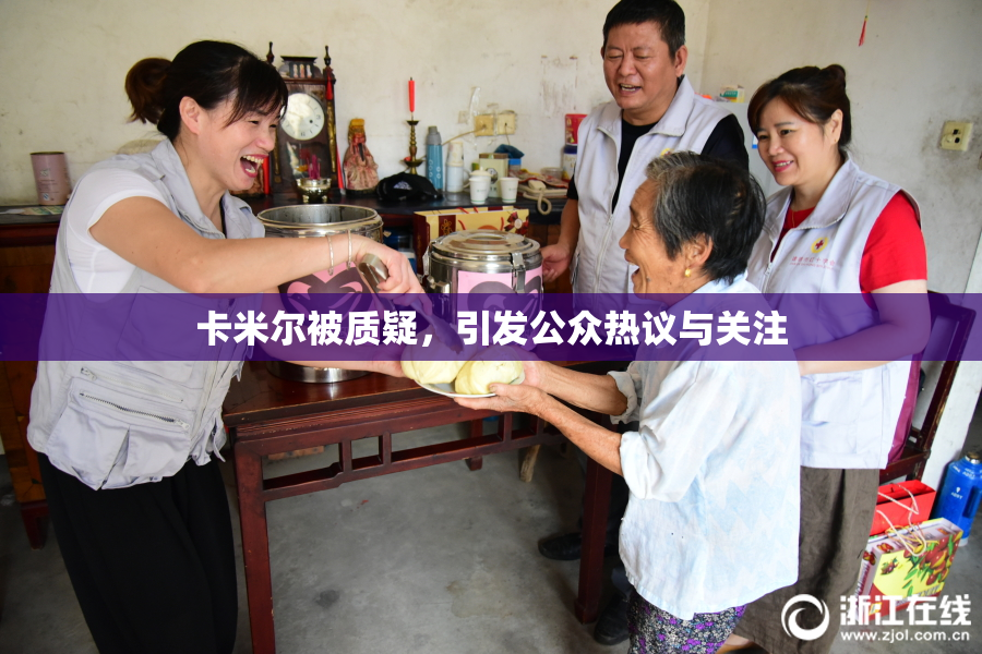 卡米尔被质疑，引发公众热议与关注