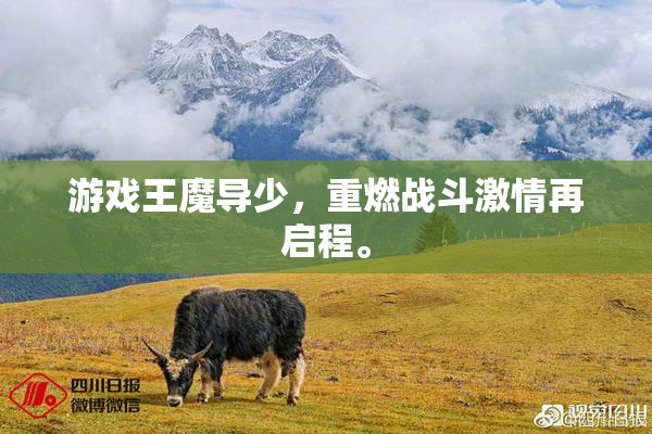 游戏王魔导少，重燃战斗激情再启程。