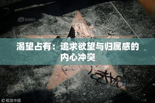 渴望占有：追求欲望与归属感的内心冲突
