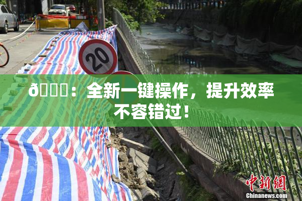 🔞：全新一键操作，提升效率不容错过！