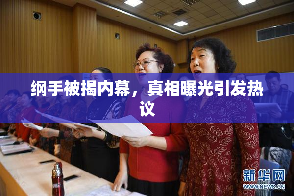 纲手被揭内幕，真相曝光引发热议