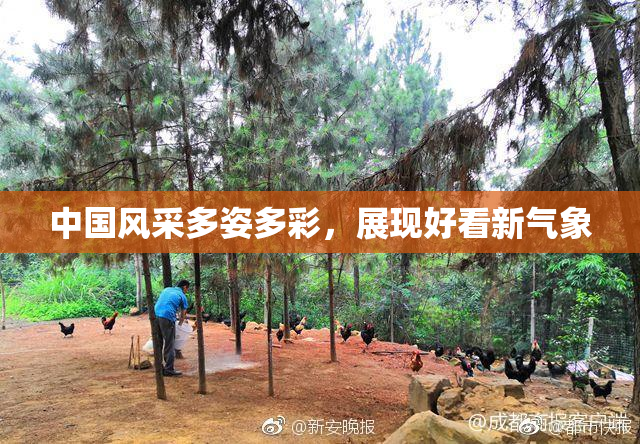 中国风采多姿多彩，展现好看新气象
