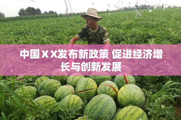中国ⅩX发布新政策 促进经济增长与创新发展