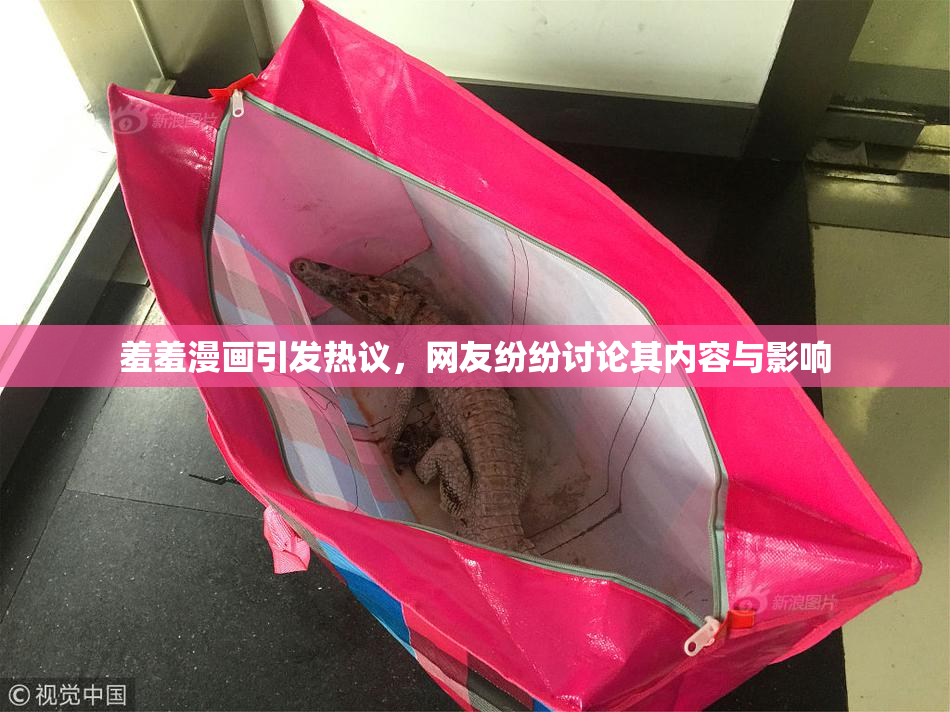 羞羞漫画引发热议，网友纷纷讨论其内容与影响