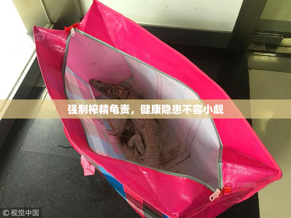 强制榨精龟责，健康隐患不容小觑