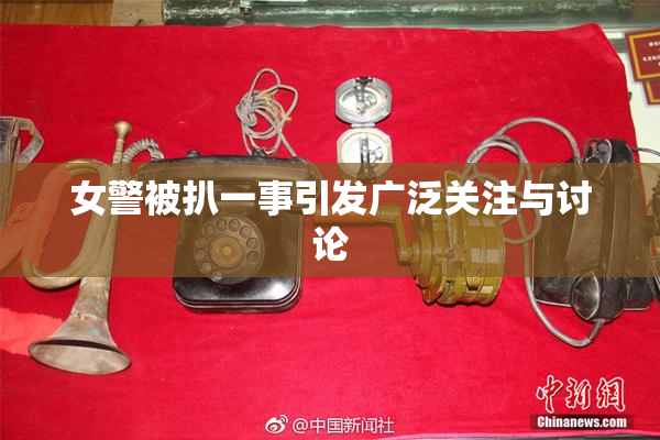 女警被扒一事引发广泛关注与讨论
