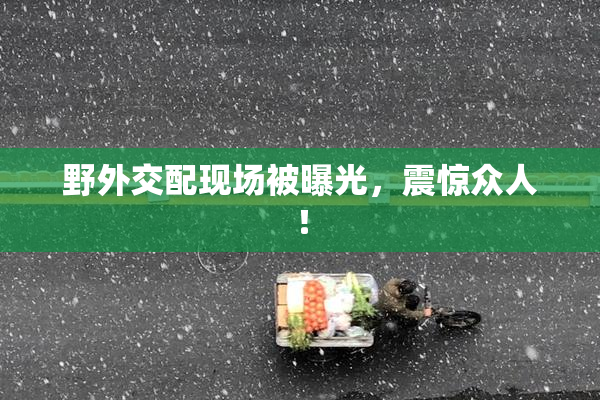 野外交配现场被曝光，震惊众人！