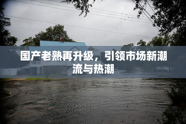 国产老熟再升级，引领市场新潮流与热潮