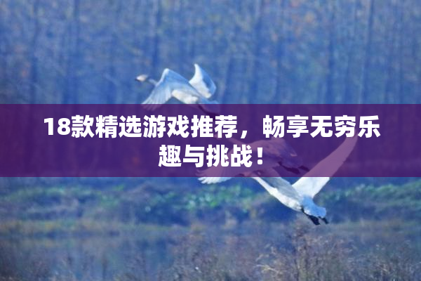 18款精选游戏推荐，畅享无穷乐趣与挑战！