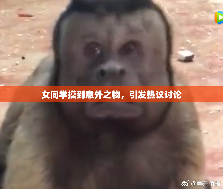 女同学摸到意外之物，引发热议讨论