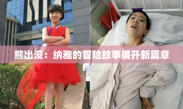 熊出没：纳雅的冒险故事展开新篇章