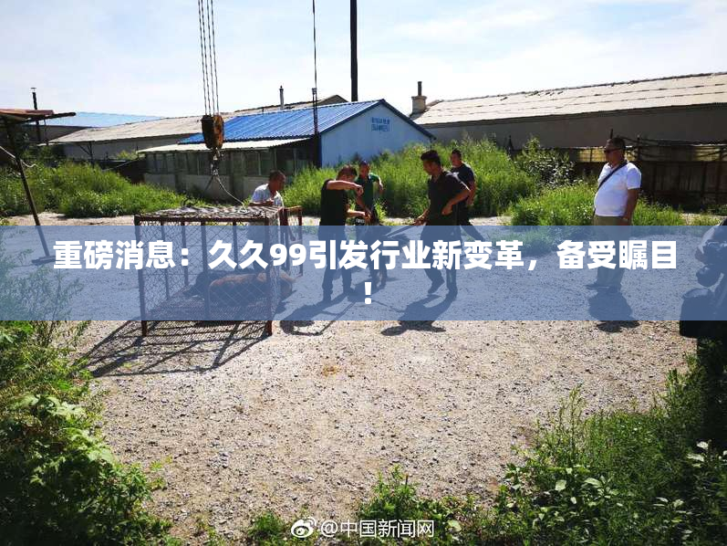 重磅消息：久久99引发行业新变革，备受瞩目！