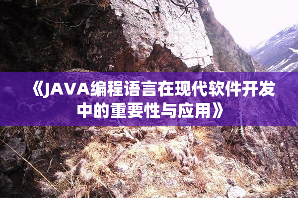 《JAVA编程语言在现代软件开发中的重要性与应用》