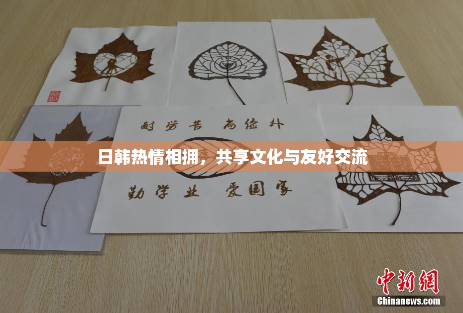 日韩热情相拥，共享文化与友好交流
