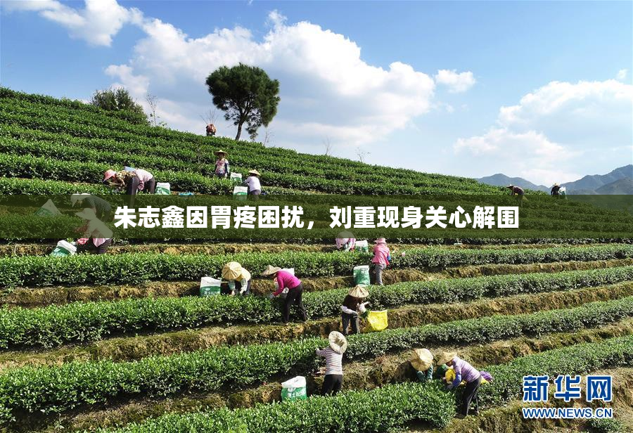 朱志鑫因胃疼困扰，刘重现身关心解围