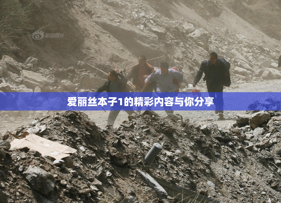 爱丽丝本子1的精彩内容与你分享
