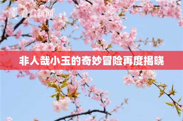 非人哉小玉的奇妙冒险再度揭晓