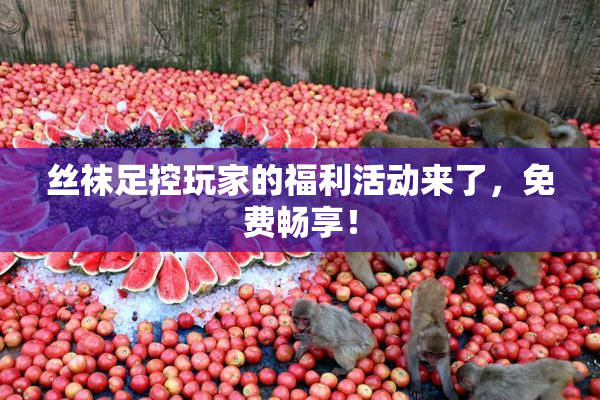 丝袜足控玩家的福利活动来了，免费畅享！