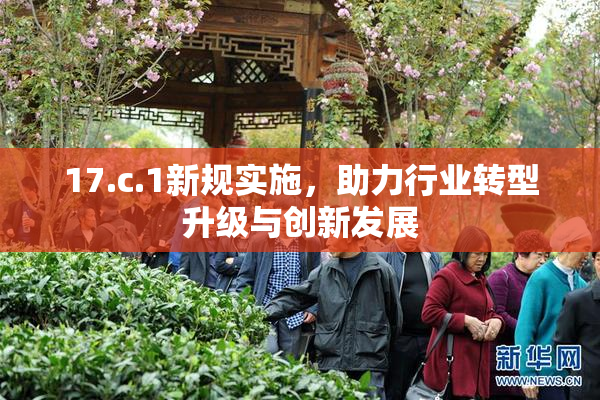 17.c.1新规实施，助力行业转型升级与创新发展