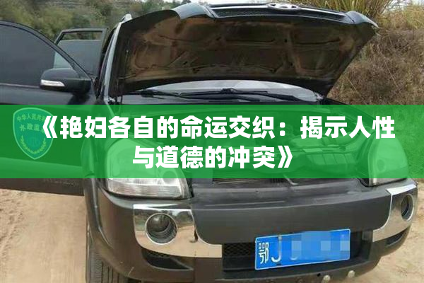 《艳妇各自的命运交织：揭示人性与道德的冲突》