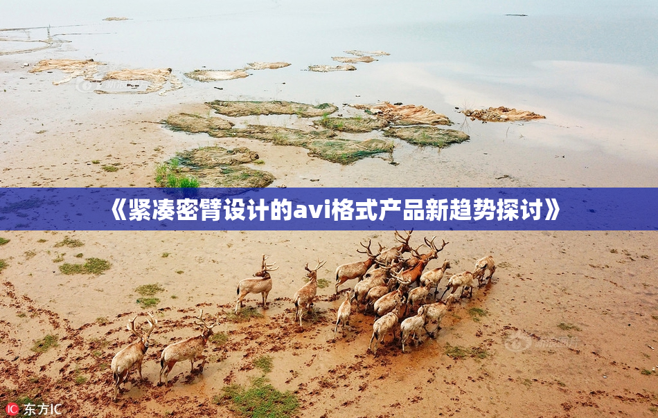 《紧凑密臂设计的avi格式产品新趋势探讨》