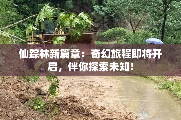 仙踪林新篇章：奇幻旅程即将开启，伴你探索未知！