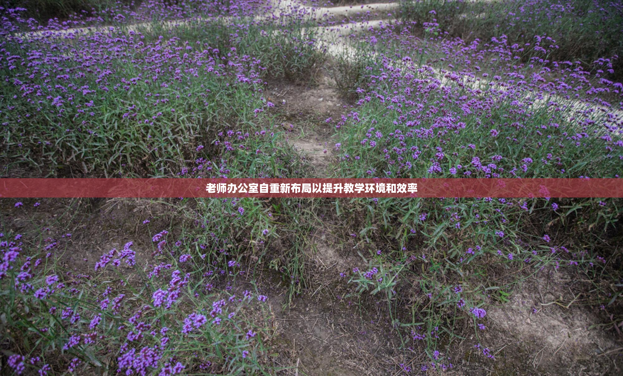 老师办公室自重新布局以提升教学环境和效率