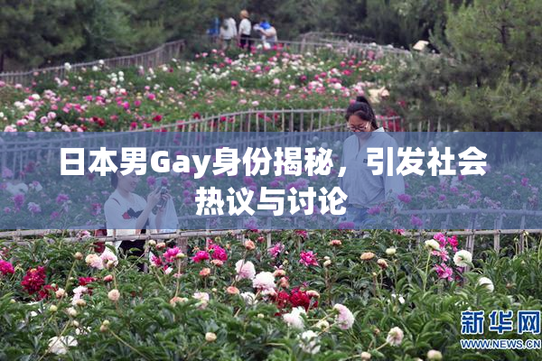 日本男Gay身份揭秘，引发社会热议与讨论