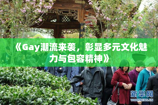 《Gay潮流来袭，彰显多元文化魅力与包容精神》