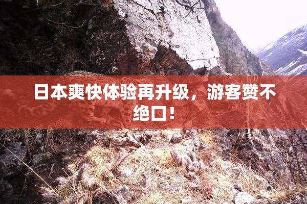 日本爽快体验再升级，游客赞不绝口！