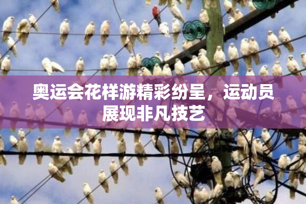 奥运会花样游精彩纷呈，运动员展现非凡技艺