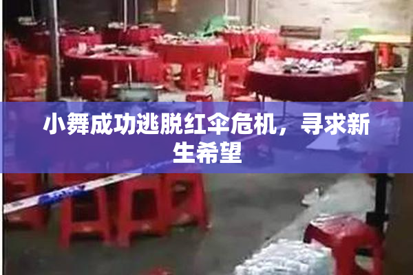 小舞成功逃脱红伞危机，寻求新生希望