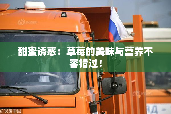 甜蜜诱惑：草莓的美味与营养不容错过！
