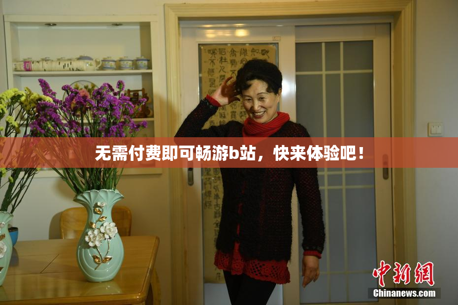无需付费即可畅游b站，快来体验吧！