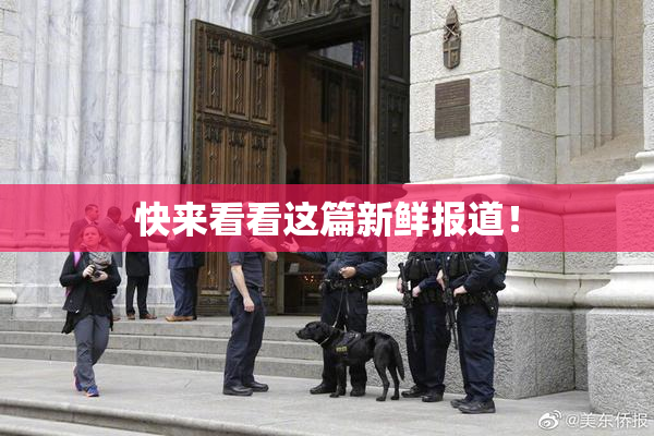 快来看看这篇新鲜报道！