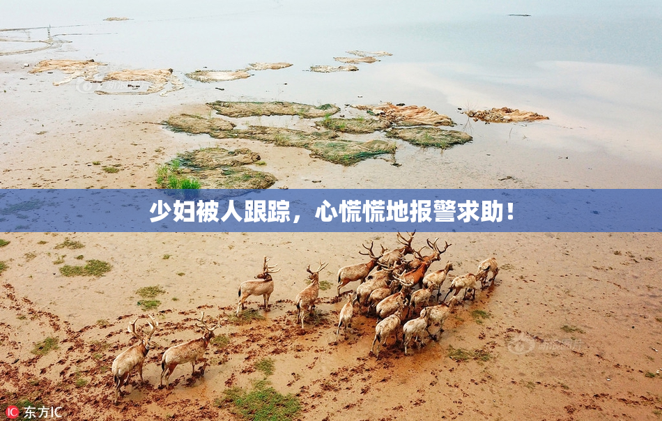 少妇被人跟踪，心慌慌地报警求助！