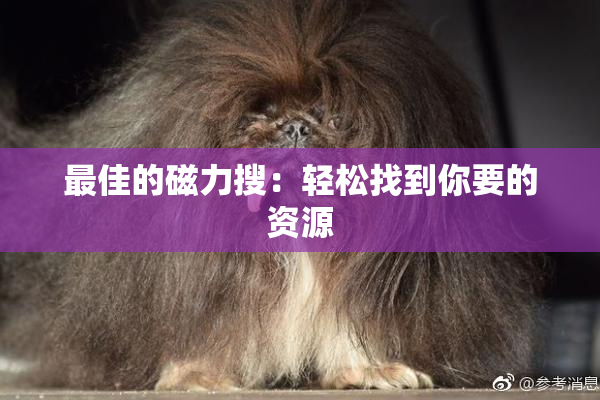 最佳的磁力搜：轻松找到你要的资源