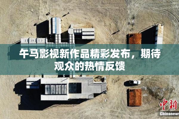 午马影视新作品精彩发布，期待观众的热情反馈
