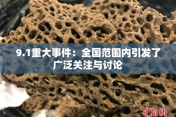 9.1重大事件：全国范围内引发了广泛关注与讨论