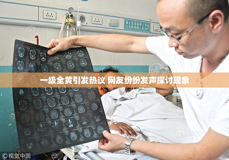 一级全黄引发热议 网友纷纷发声探讨现象