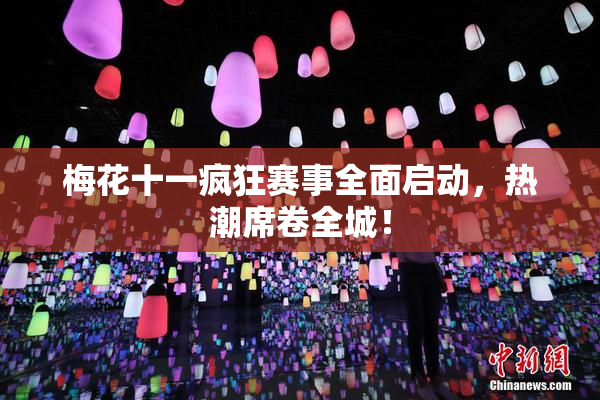 梅花十一疯狂赛事全面启动，热潮席卷全城！