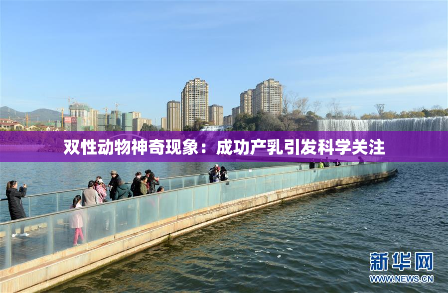 双性动物神奇现象：成功产乳引发科学关注