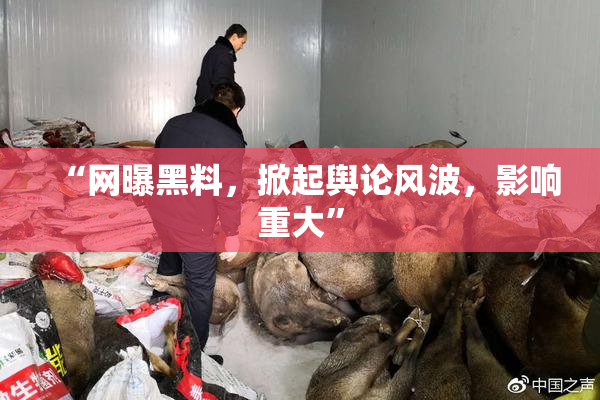 “网曝黑料，掀起舆论风波，影响重大”