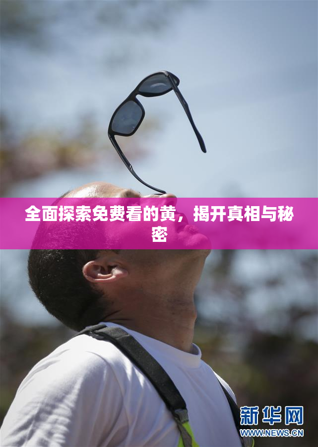 全面探索免费看的黄，揭开真相与秘密