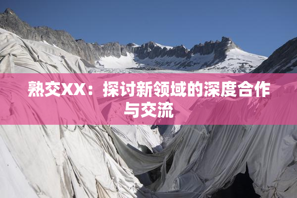 熟交XX：探讨新领域的深度合作与交流