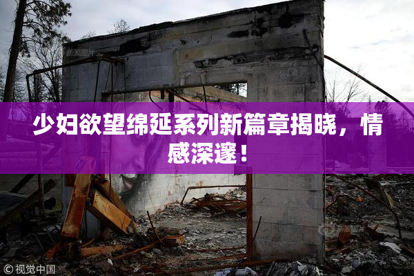少妇欲望绵延系列新篇章揭晓，情感深邃！