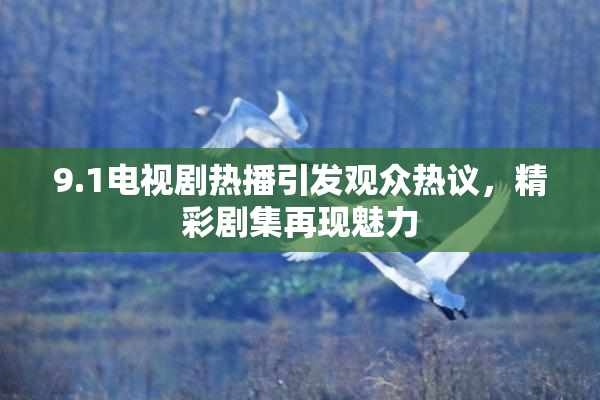 9.1电视剧热播引发观众热议，精彩剧集再现魅力