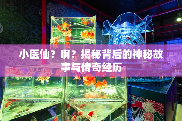 小医仙？啊？揭秘背后的神秘故事与传奇经历