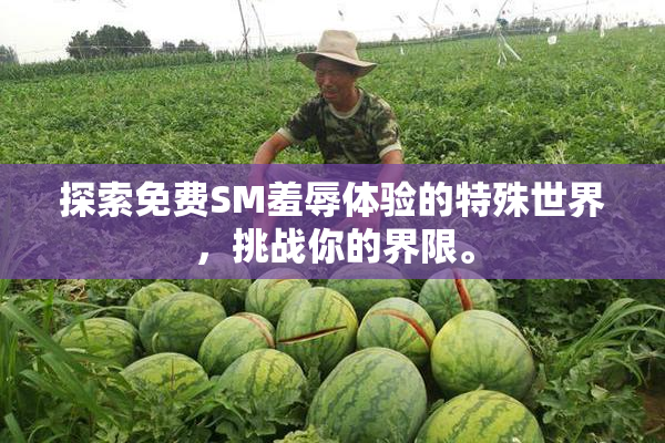 探索免费SM羞辱体验的特殊世界，挑战你的界限。