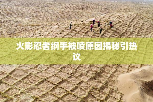 火影忍者纲手被喷原因揭秘引热议